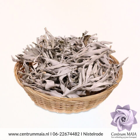 Californische witte gedroogde Salie 50 gram
