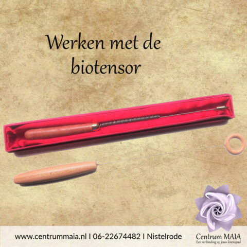 Workshop Biotensor voor thuis