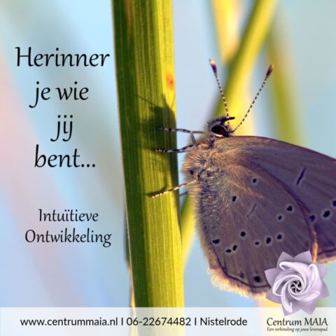 Herinner je wie jij bent, module 1