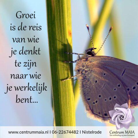 Herinner je wie jij bent, module 2
