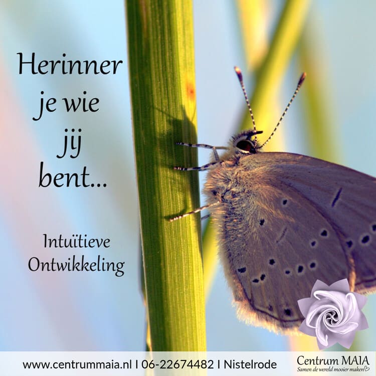 Herinner je wie jij bent, module 1