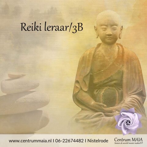 Reiki leraar