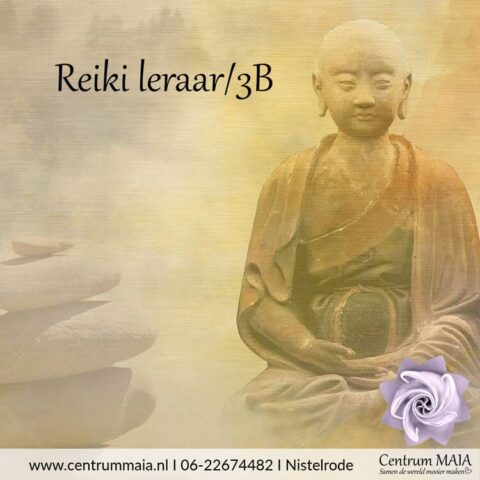 Reiki leraar