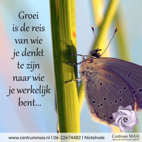 Herinner je wie jij bent, module 2