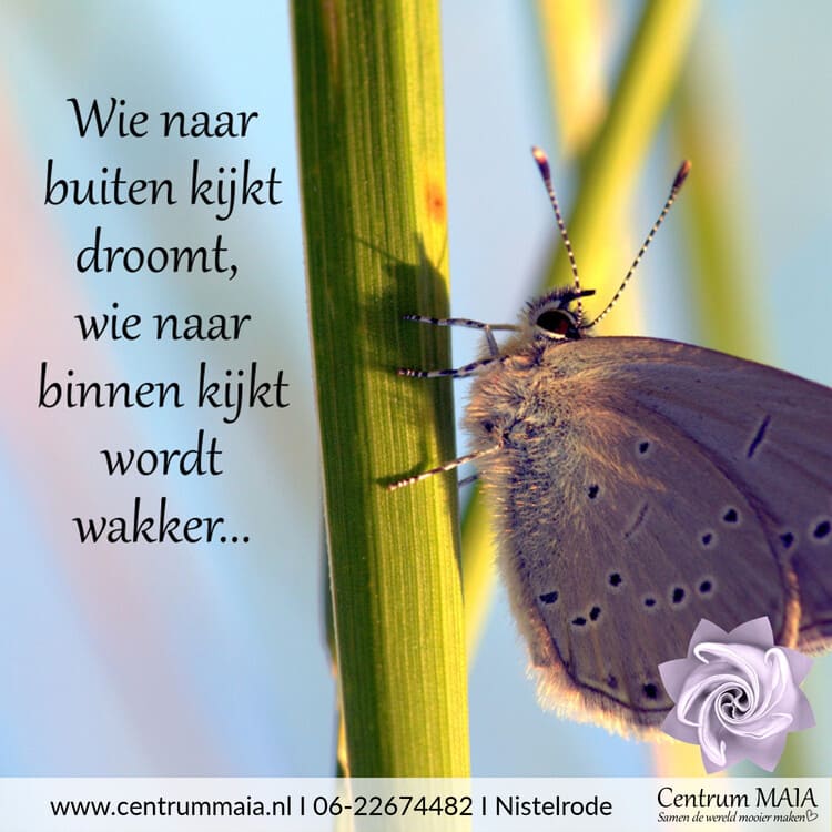 Herinner je wie jij bent, module 3