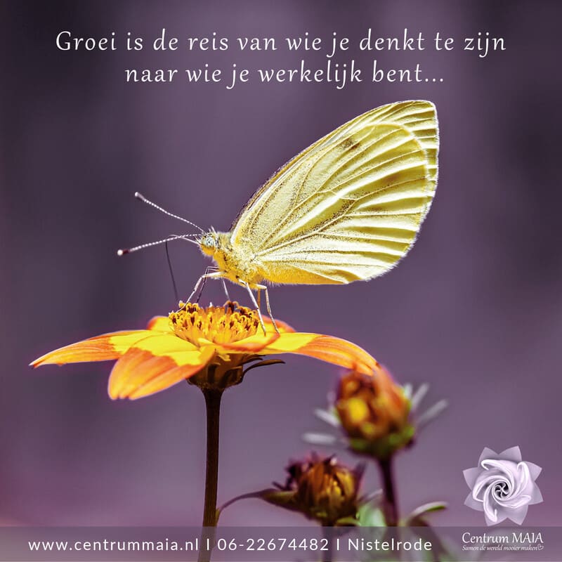 Herinner je wie jij bent, module 2